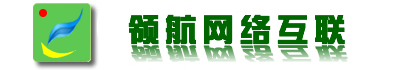 东莞领航网络的logo